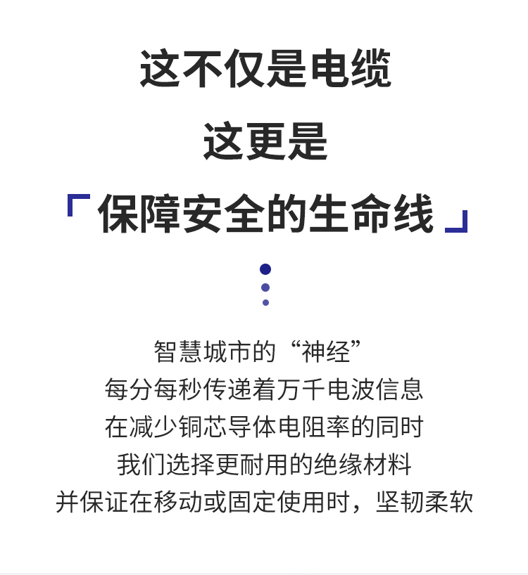 安普RVV電線護(hù)套線2芯國(guó)標(biāo)純銅0.5/0.75/1/1.5/2.5平方電纜電源線